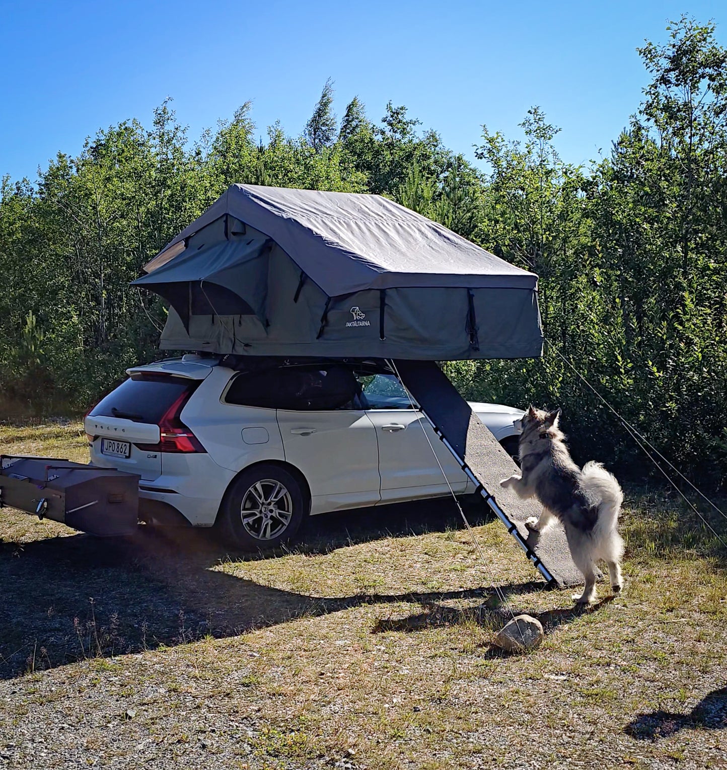Hundred for roof tents